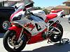 New king?-98r1.jpg