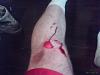 laid the hawk down-phto0001.jpg