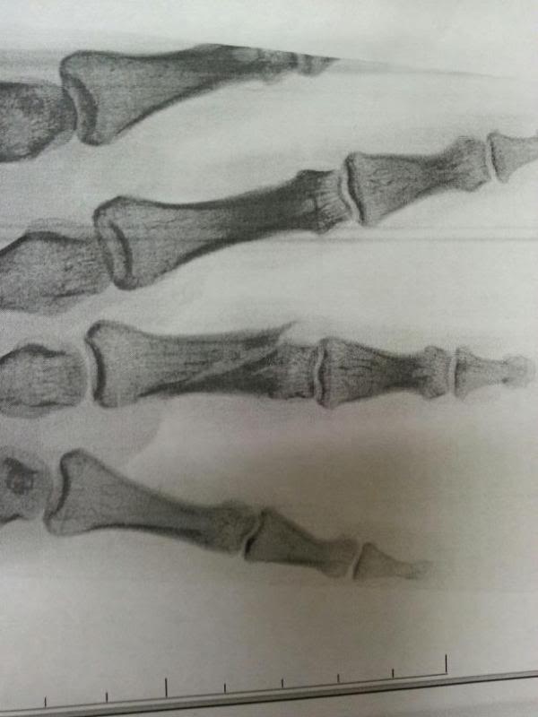 Name:  486648_10151219827604841_142634475_n.jpg
Views: 34
Size:  38.2 KB