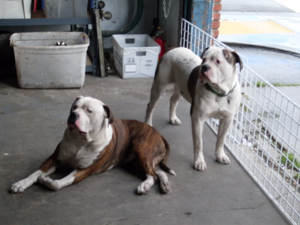 Name:  03-10-09006.jpg
Views: 217
Size:  109.5 KB