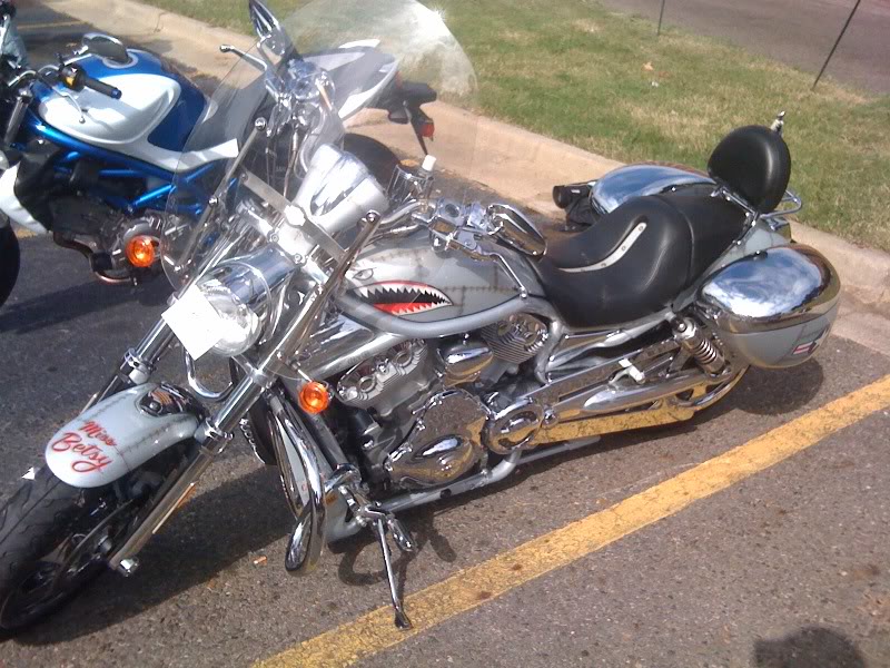 Name:  vrod1.jpg
Views: 220
Size:  130.5 KB