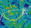The climate facts that everyone ignores.-chicxulub_crater_gravity_map.gif