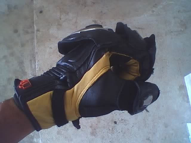 Name:  glove-1.jpg
Views: 406
Size:  31.2 KB
