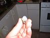 Cant find temp plug-springs-018.jpg