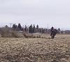 Wet/cold weather tire?ANYONE?-dirt_catwalk.jpg