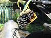 Electical accessories and charging issues-rnr-conector.jpg