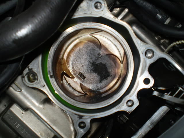 Name:  P2180045.jpg
Views: 645
Size:  60.2 KB