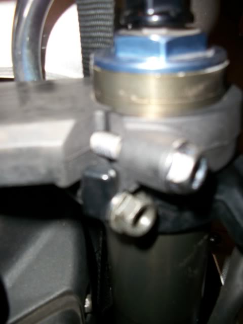 Name:  100_1968.jpg
Views: 2267
Size:  40.4 KB