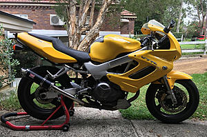Newbie - Suggestions/Gotchas-vtr1000_butts.jpg