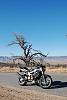 sigh... "Superhawk" feels like Hawk GT-frazier-1.jpg