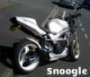 Snoogle's Avatar