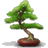 zenrider's Avatar
