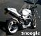 Snoogle's Avatar